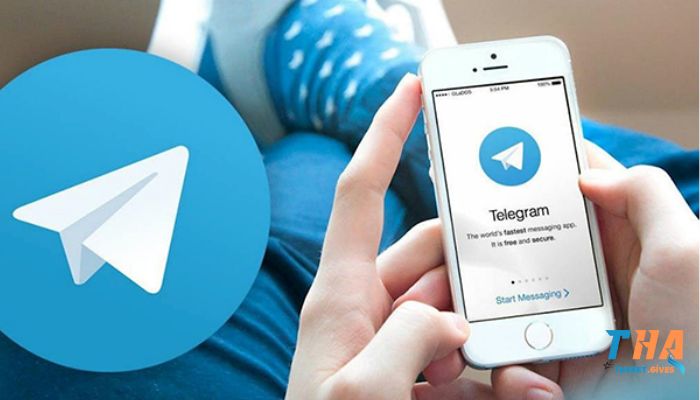 Hỗ trợ Thabet qua Telegram