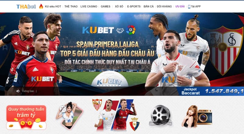 Thabet tải app: Hướng dẫn tải ứng dụng cá cược 2026 4 Những điều cần lưu ý cho thành viên khi tải ứng dụng